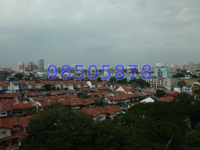 Lakeview Estate (D20), Apartment #45926472